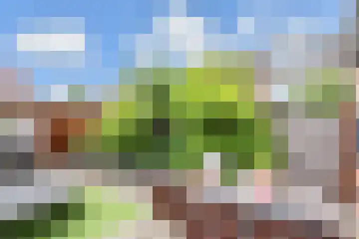 Rivierenlaan 166 Pijnacker thumbnail 29