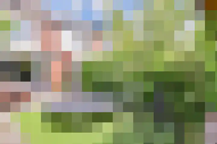 Rivierenlaan 166 Pijnacker thumbnail 30