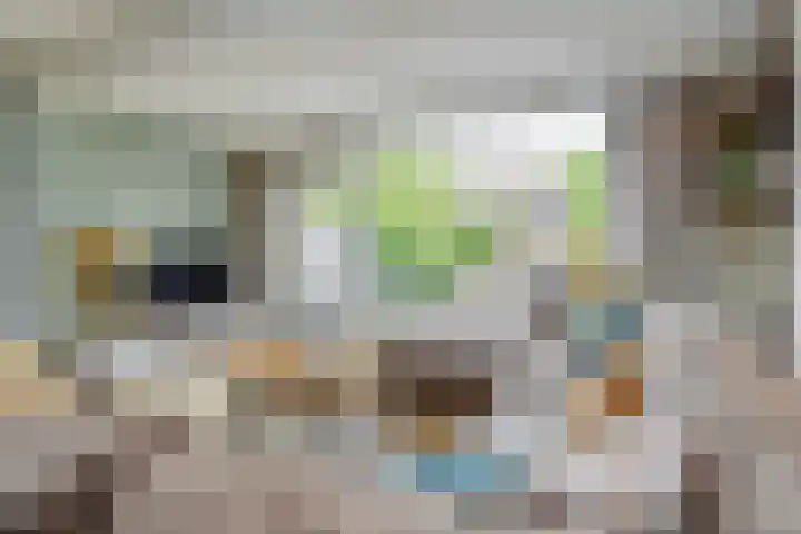 Rivierenlaan 166 Pijnacker thumbnail 7