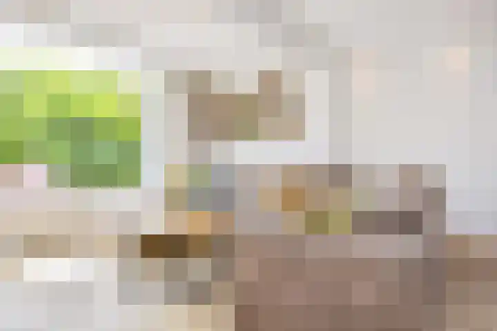 Rivierenlaan 166 Pijnacker thumbnail 8