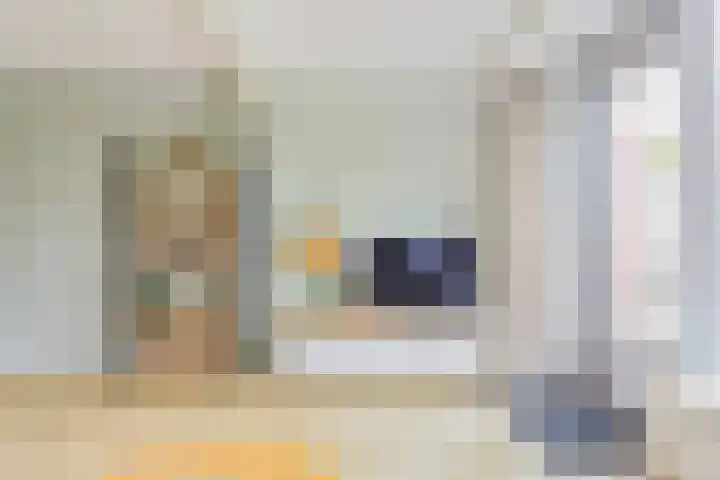 Rivierenlaan 166 Pijnacker thumbnail 9