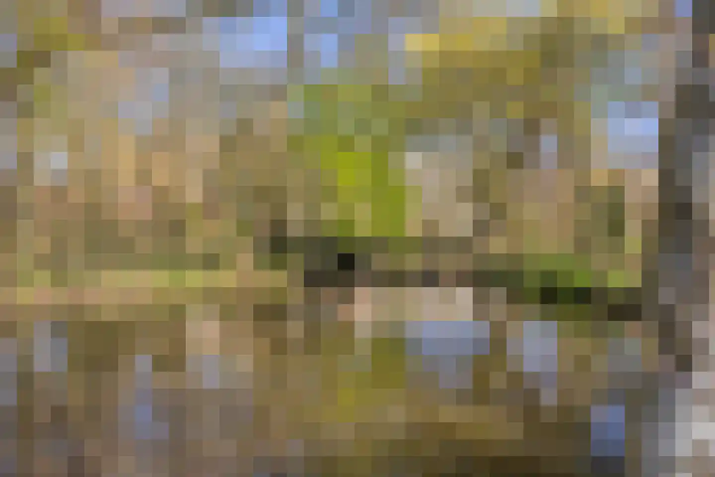 Rivierenlaan 179 Purmerend thumbnail 25