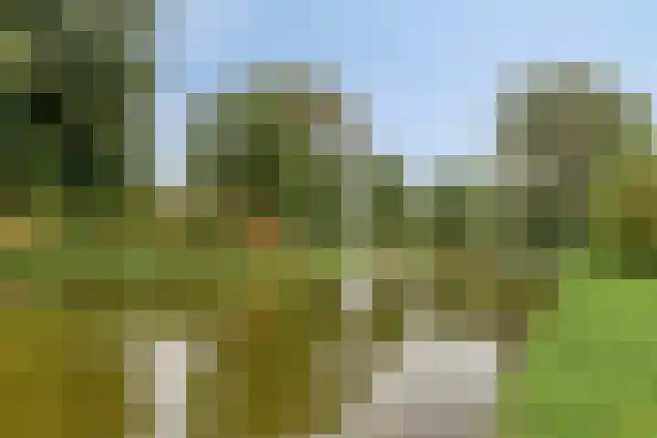 Rivierenlaan 201 Purmerend thumbnail 36