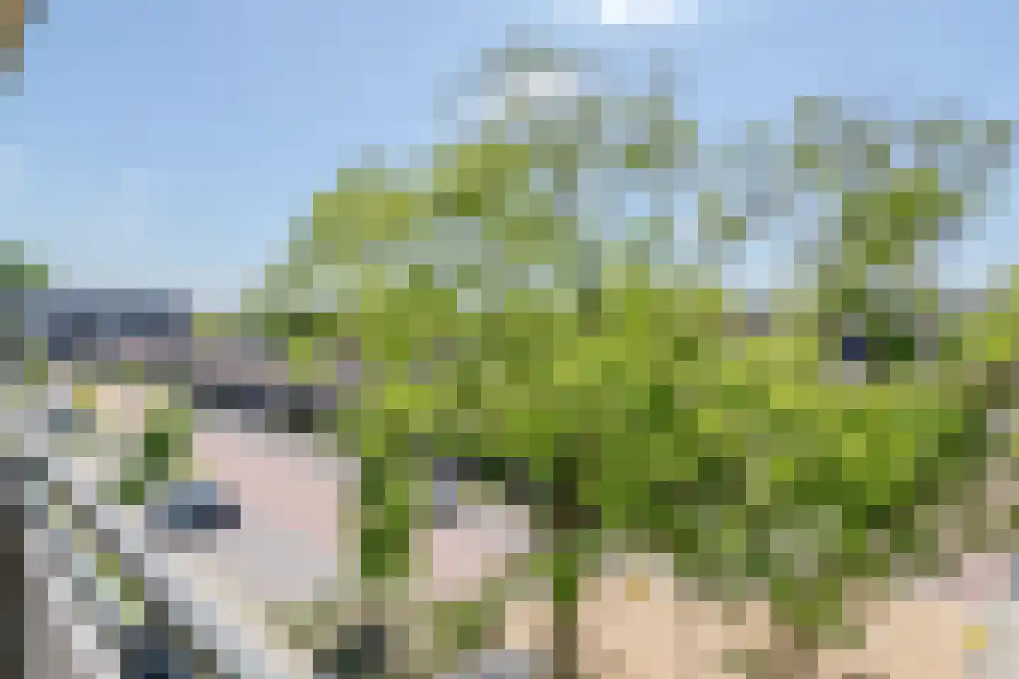 Rivierenlaan 207 Purmerend thumbnail 24