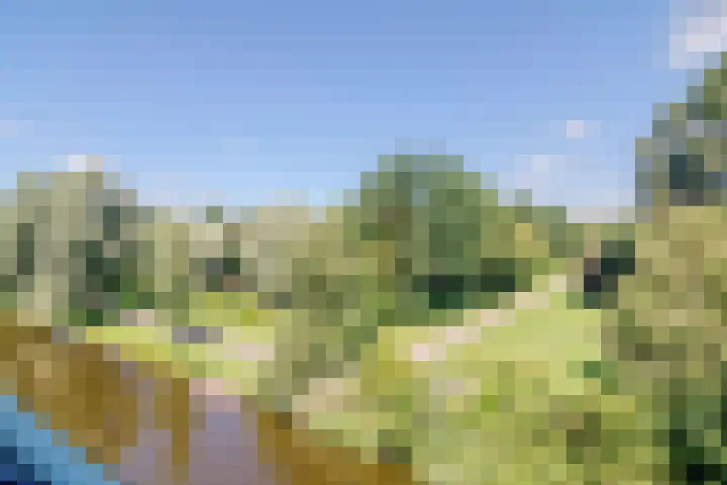 Rivierenlaan 207 Purmerend thumbnail 6