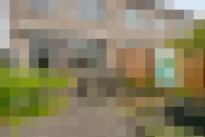 Rivierenlaan 22 Lelystad thumbnail 30
