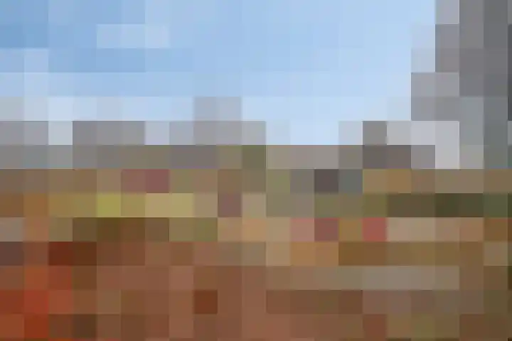 Rivierenlaan 22 Lelystad thumbnail 34