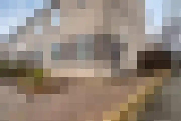 Rivierenlaan 22 Lelystad thumbnail 5