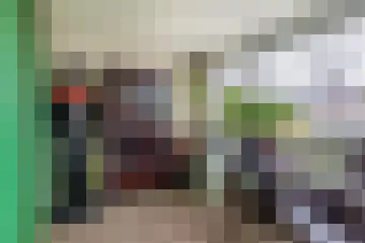 Rivierenlaan 28 Rozenburg thumbnail 18