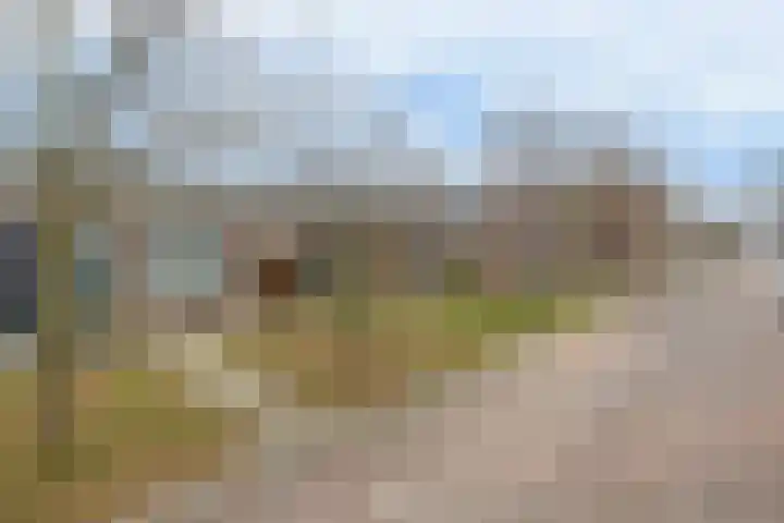 Rivierenlaan 28 Rozenburg thumbnail 34