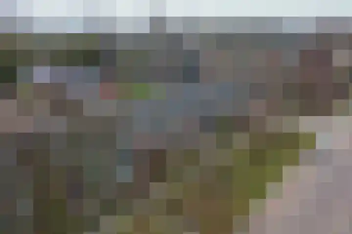 Rivierenlaan 28 Rozenburg thumbnail 35