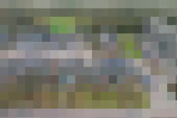 Rivierenlaan 28 Rozenburg thumbnail 36
