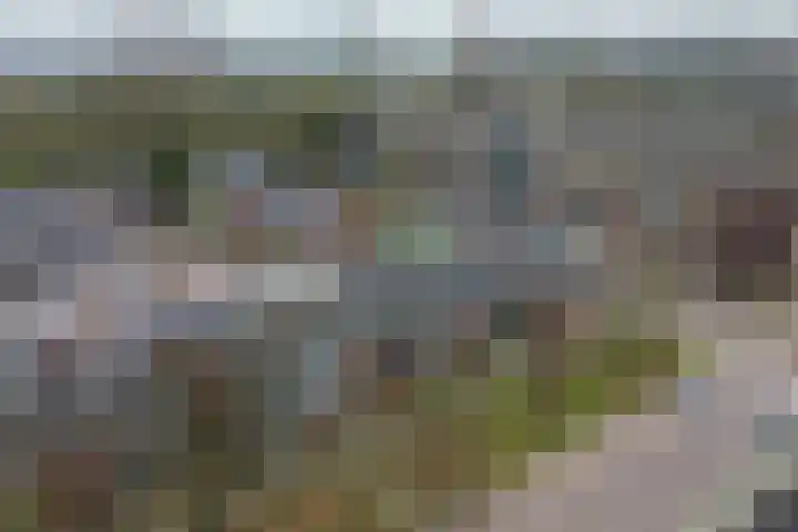 Rivierenlaan 28 Rozenburg thumbnail 37