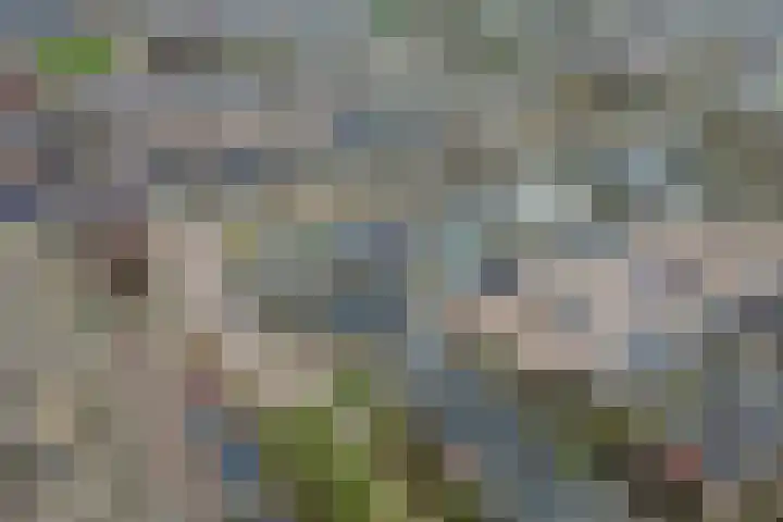 Rivierenlaan 28 Rozenburg thumbnail 38