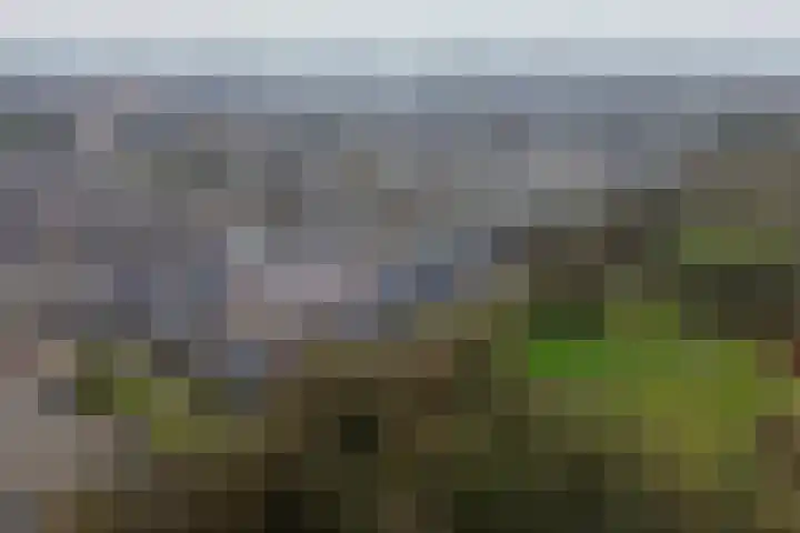 Rivierenlaan 28 Rozenburg thumbnail 40