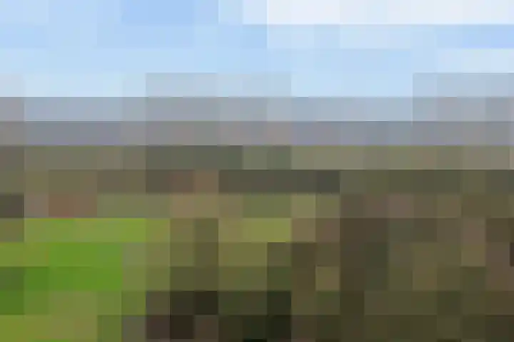 Rivierenlaan 28 Rozenburg thumbnail 41