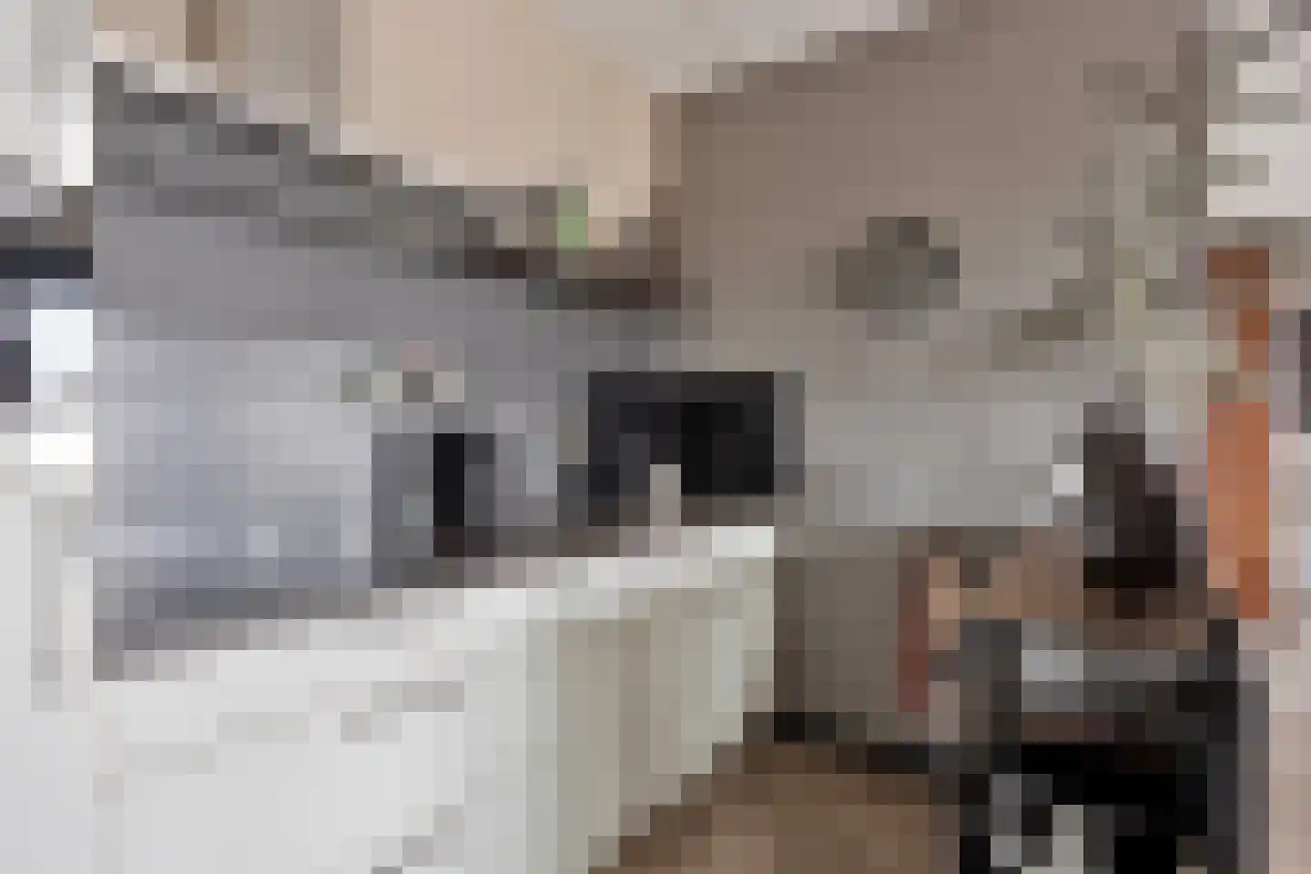 Rivierenlaan 281 C Purmerend thumbnail 18