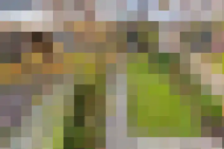 Rivierenlaan 42 Rozenburg thumbnail 35