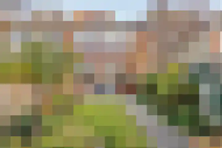Rivierenlaan 42 Rozenburg thumbnail 36