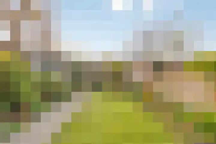 Rivierenlaan 42 Rozenburg thumbnail 37