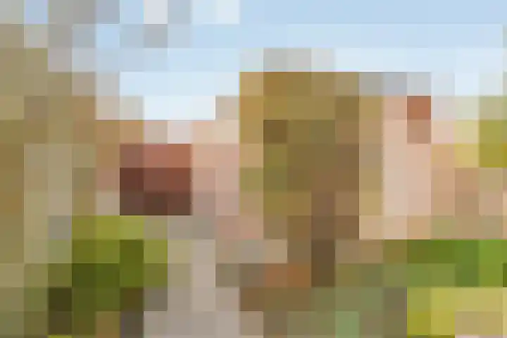 Rivierenlaan 42 Rozenburg thumbnail 38