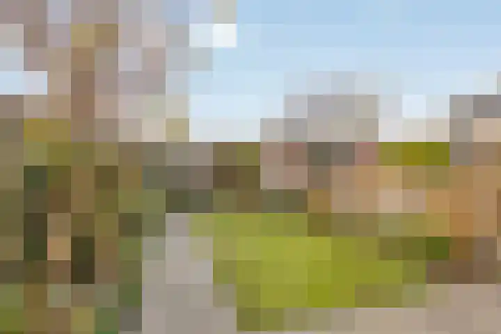 Rivierenlaan 42 Rozenburg thumbnail 4