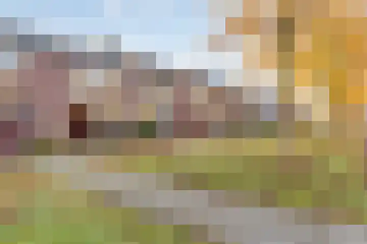 Rivierenlaan 42 Rozenburg thumbnail 6