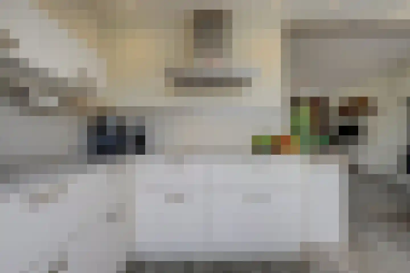 Rivierenlaan 44 Rozenburg thumbnail 15