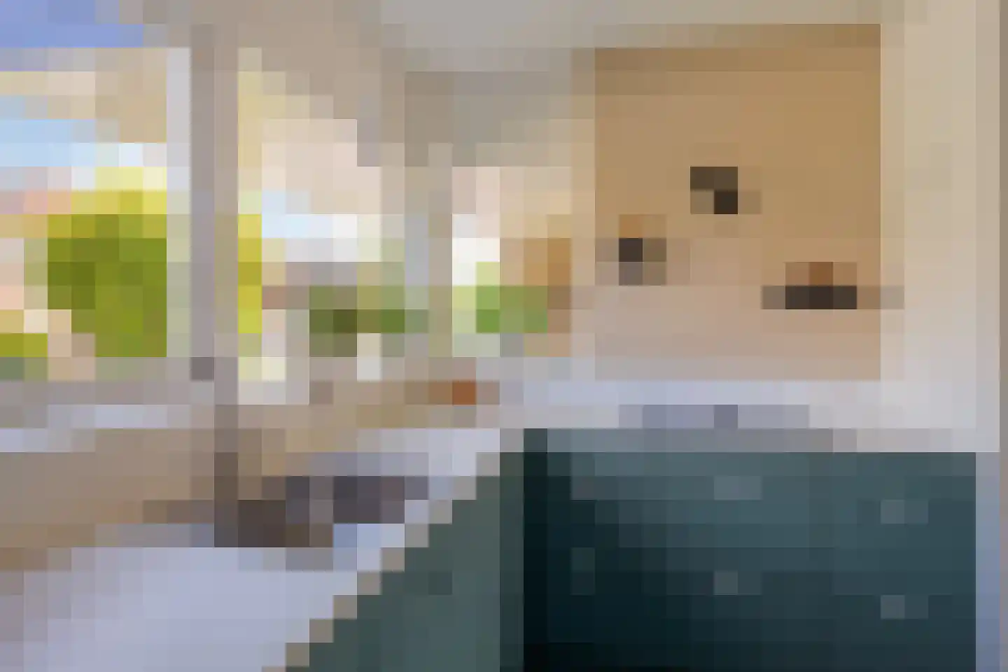 Rivierenlaan 46 Pijnacker thumbnail 14