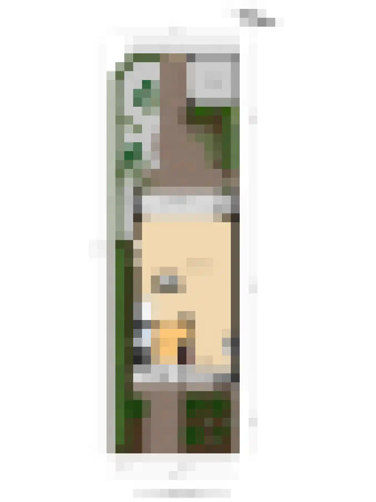 Rivierenlaan 46 Pijnacker thumbnail 38