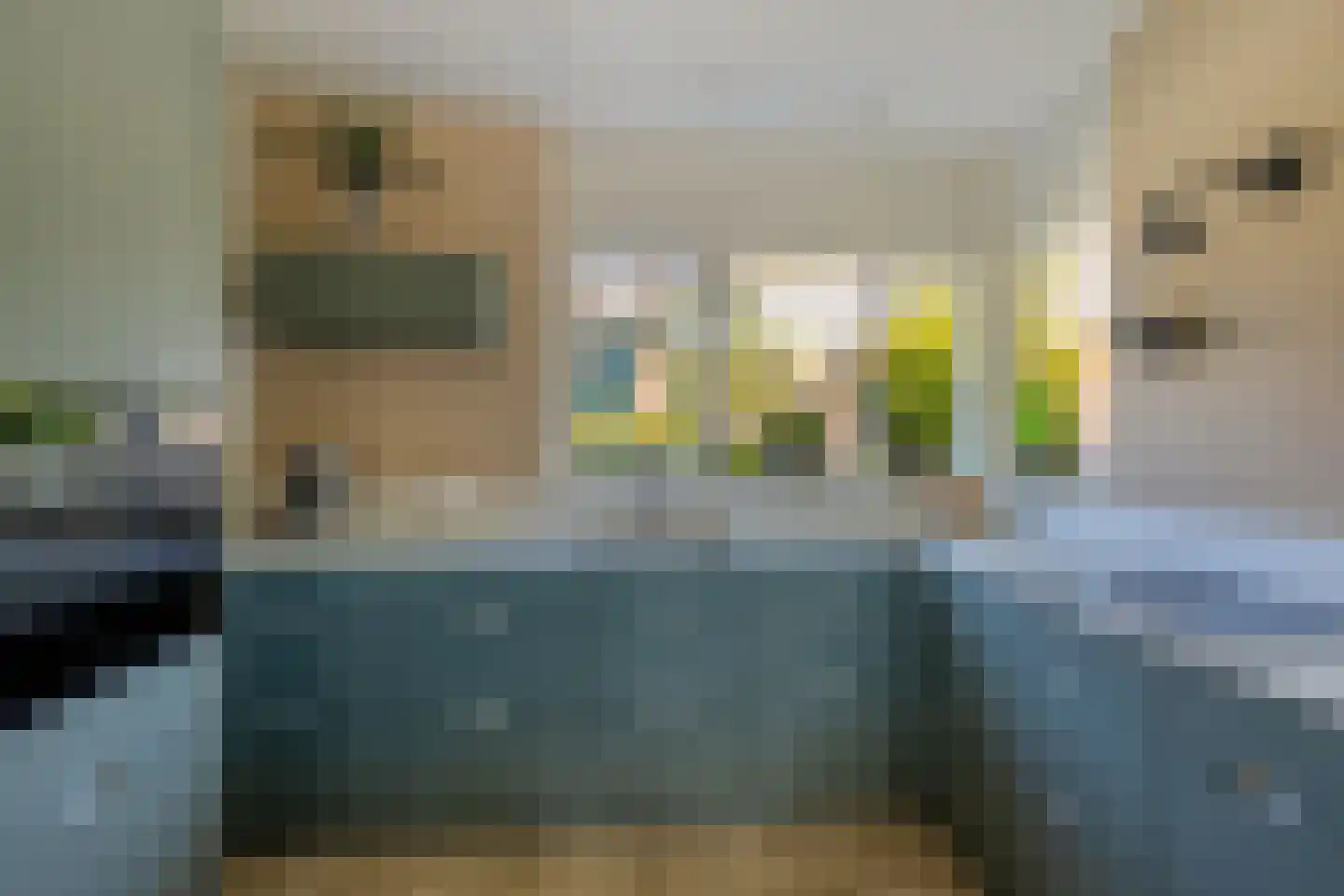 Rivierenlaan 46 Pijnacker thumbnail 4