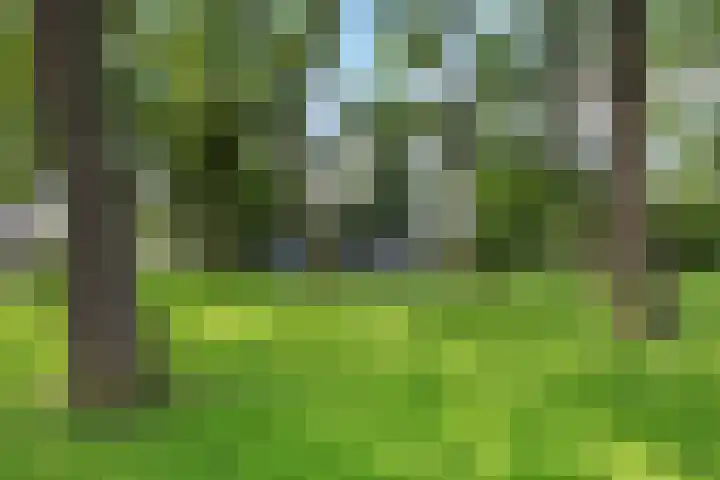 Rivierenlaan 54 Lelystad thumbnail 43