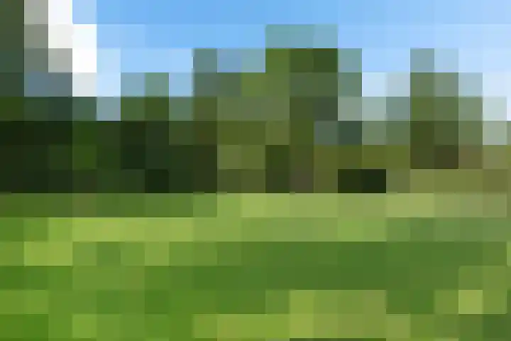 Rivierenlaan 54 Lelystad thumbnail 44