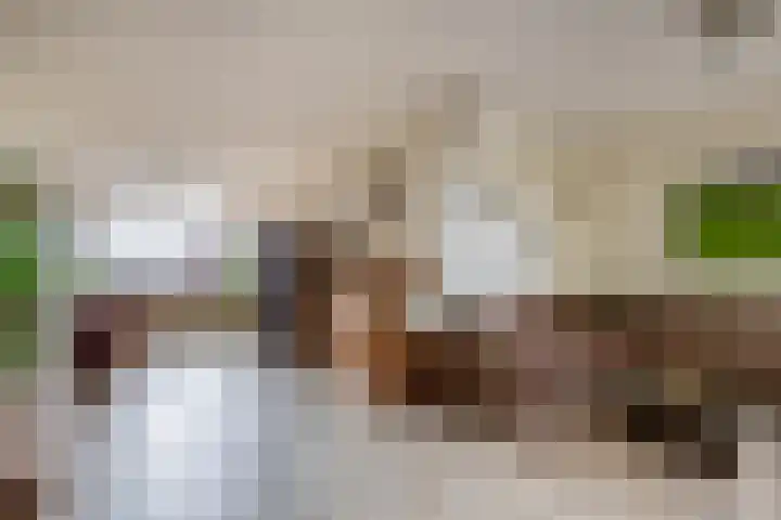 Rivierenlaan 56 Rozenburg thumbnail 14