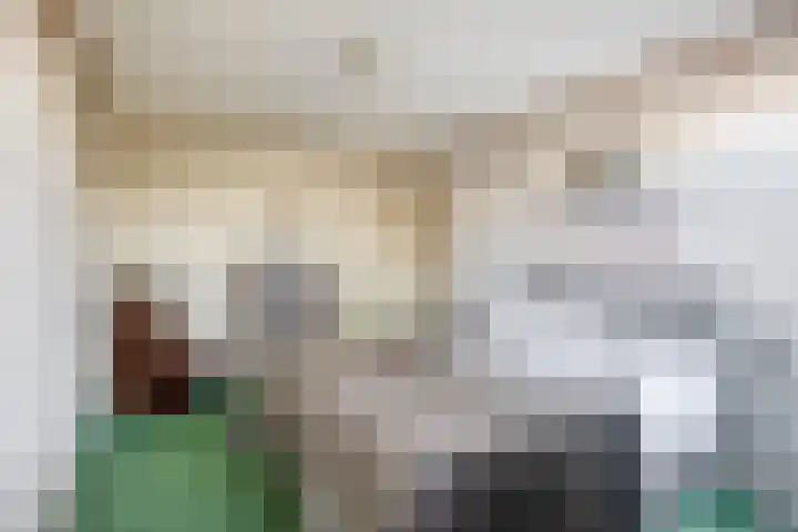 Rivierenlaan 56 Rozenburg thumbnail 23