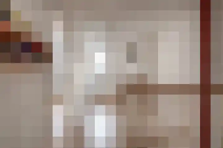Rivierenlaan 56 Rozenburg thumbnail 31