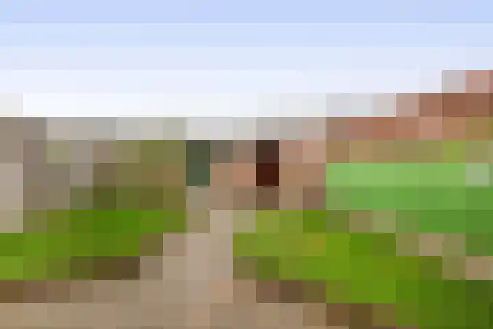 Rivierenlaan 56 Rozenburg thumbnail 35