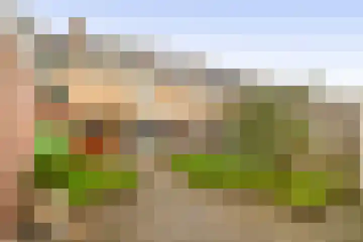 Rivierenlaan 56 Rozenburg thumbnail 36