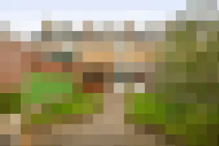 Rivierenlaan 56 Rozenburg thumbnail 5