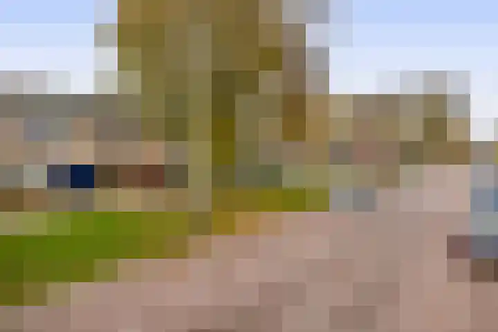 Rivierenlaan 56 Rozenburg thumbnail 8