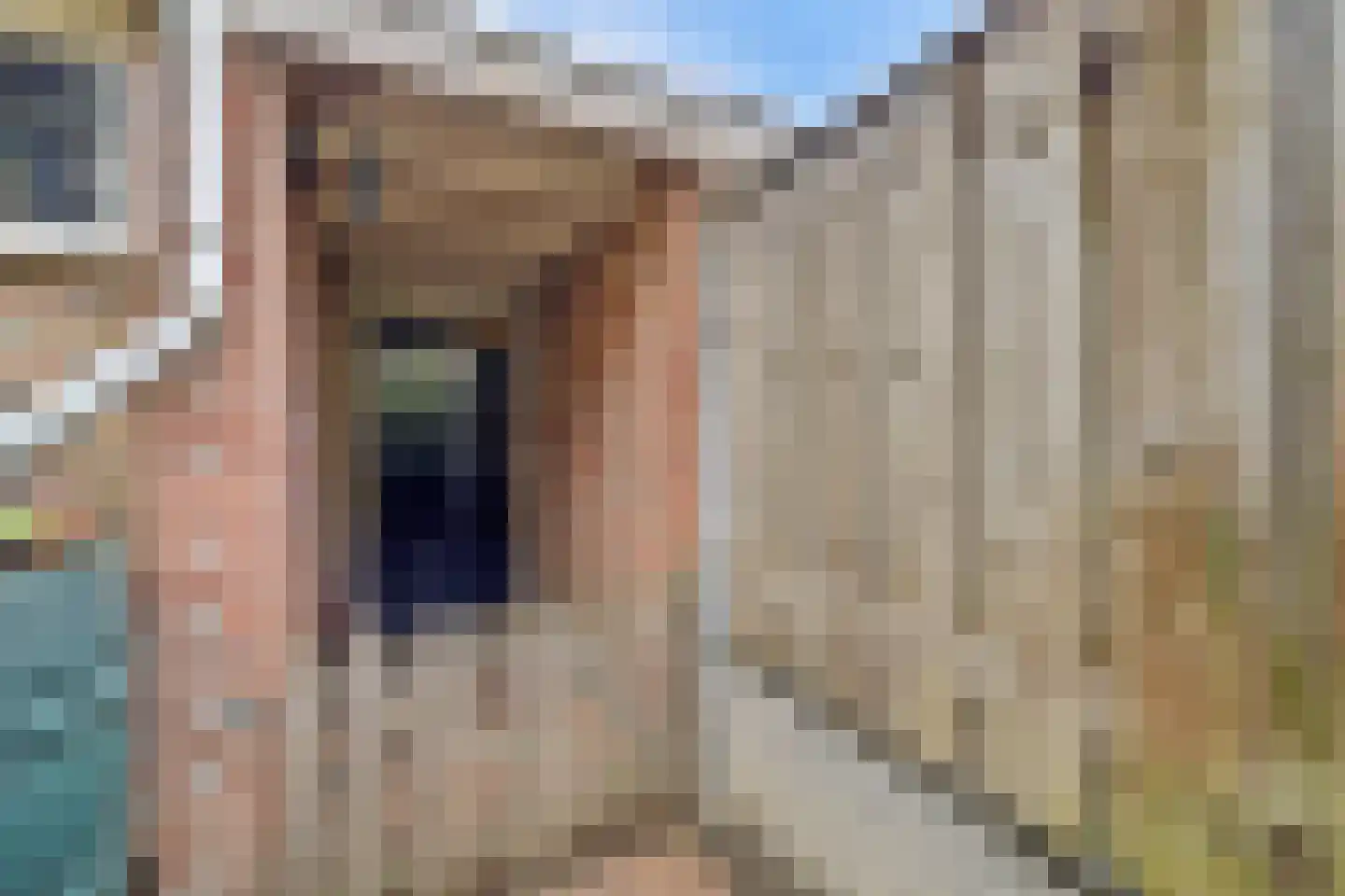 Rivierenlaan 59 Rozenburg thumbnail 38