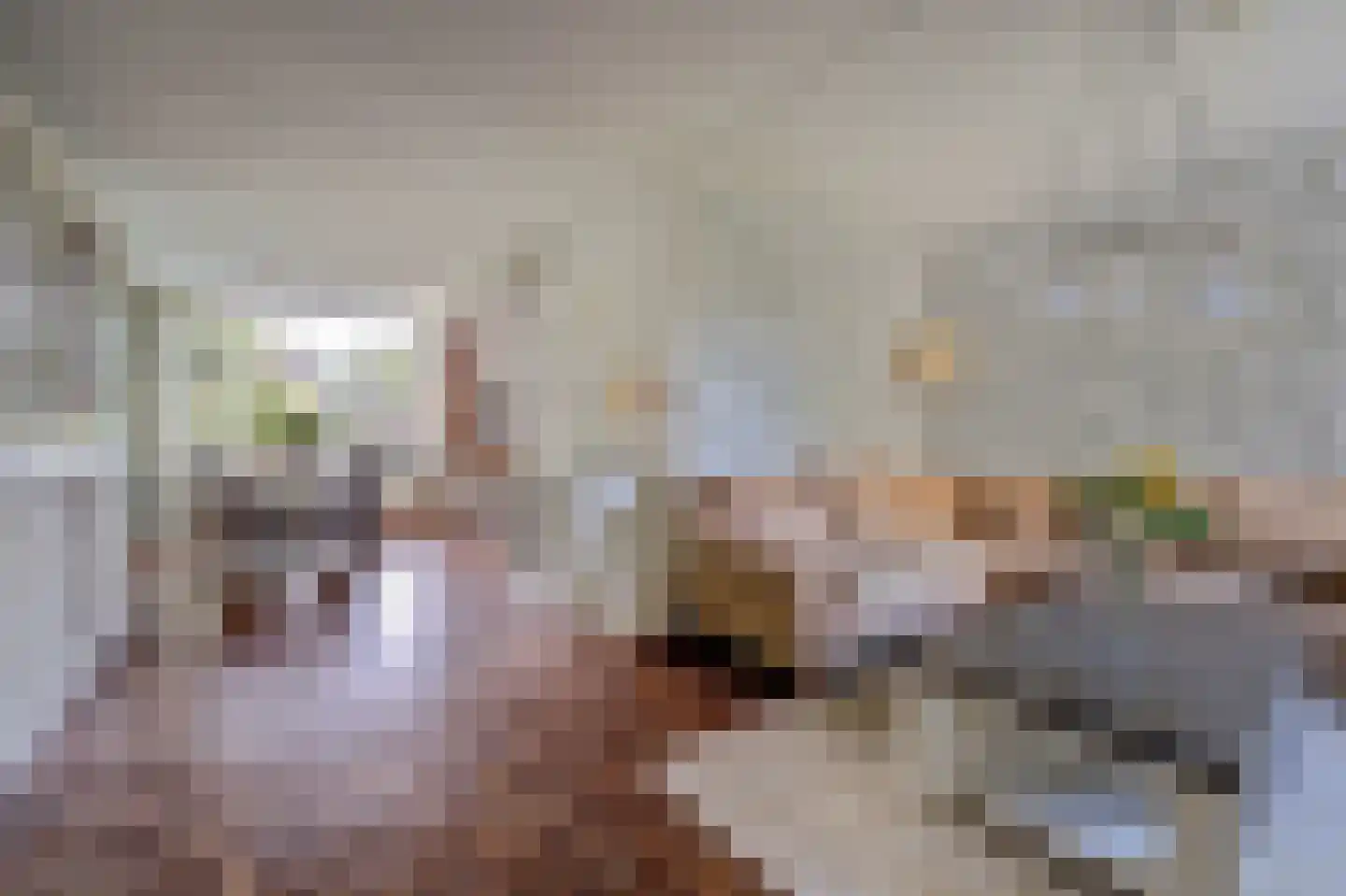 Rivierenlaan 59 Rozenburg thumbnail 4
