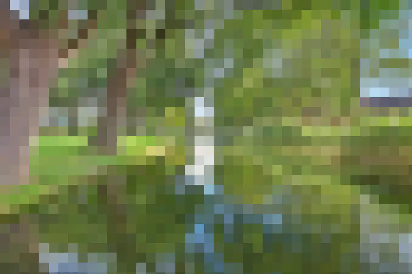 Rivierenlaan 59 Rozenburg thumbnail 42