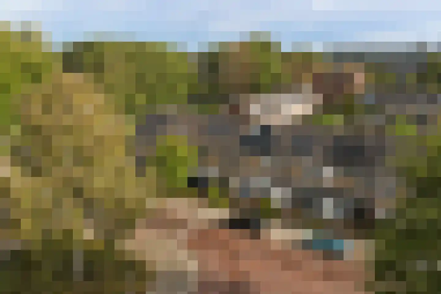 Rivierenlaan 59 Rozenburg thumbnail 6