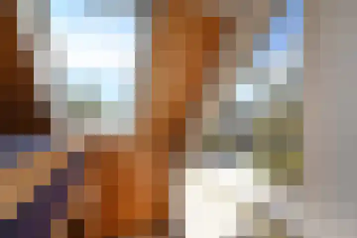Rivierenlaan 71 Pijnacker thumbnail 20