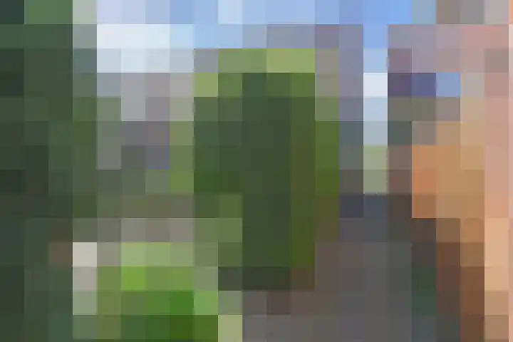 Rivierenlaan 71 Pijnacker thumbnail 30