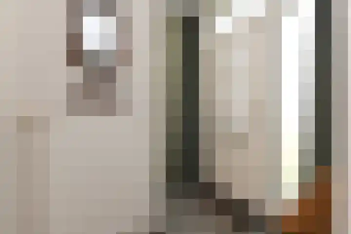 Rivierenlaan 71 Pijnacker thumbnail 7