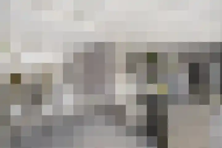 Rivierenlaan 8 Rozenburg thumbnail 14