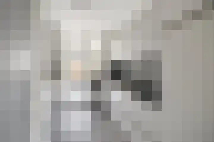 Rivierenlaan 8 Rozenburg thumbnail 15