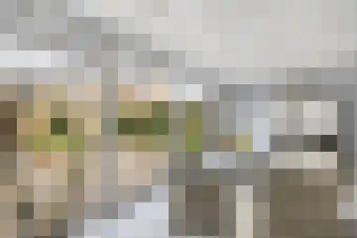 Rivierenlaan 8 Rozenburg thumbnail 16